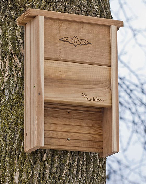 Audubon Cedar Bat Shelter