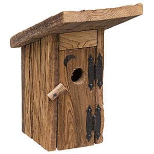 amish outhouse rustic bluebird nestbox