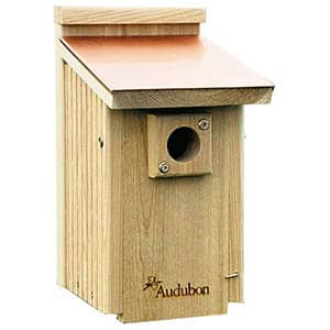 audubon coppertop bluebird nestbox