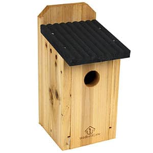 wildbirdcare cedar bluebird nesting box