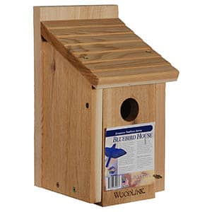 woodlink bluebird house