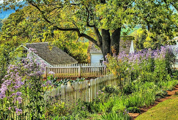 How to Attract Birds To Your Garden A home garden with shrubs and trees